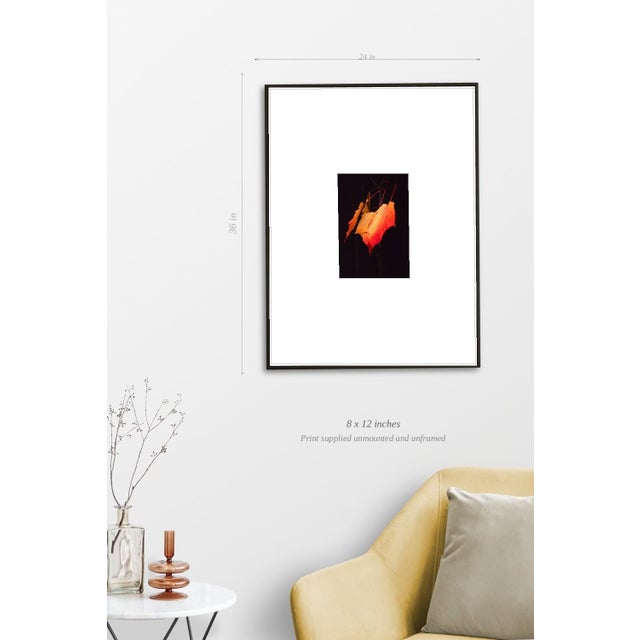 Paul Cooklin, Maple Leaves, Edition of 50 For Sale - Image 4 of 7