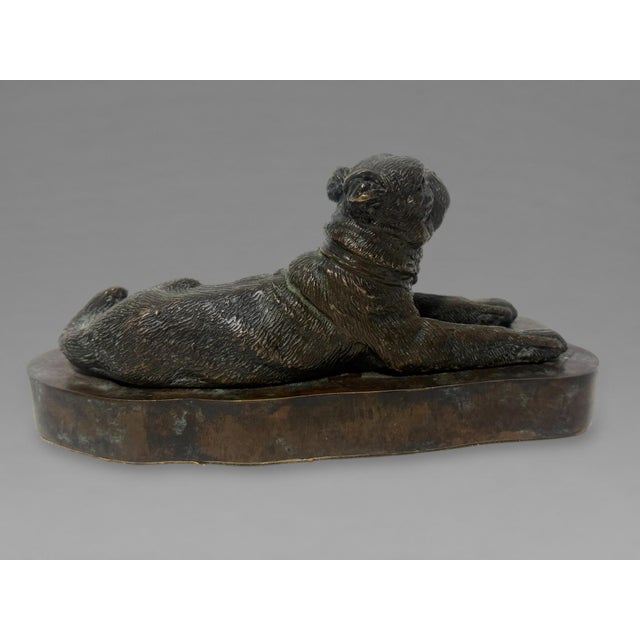 Bronze European Patinated Bronze Recumbent Pug, 19th Century For Sale - Image 8 of 9