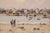 Painting by Jean Dubord (Born 1949) Titled "Le Retaur Des Pecheuns a Maree Barre" For Sale - Image 4 of 12