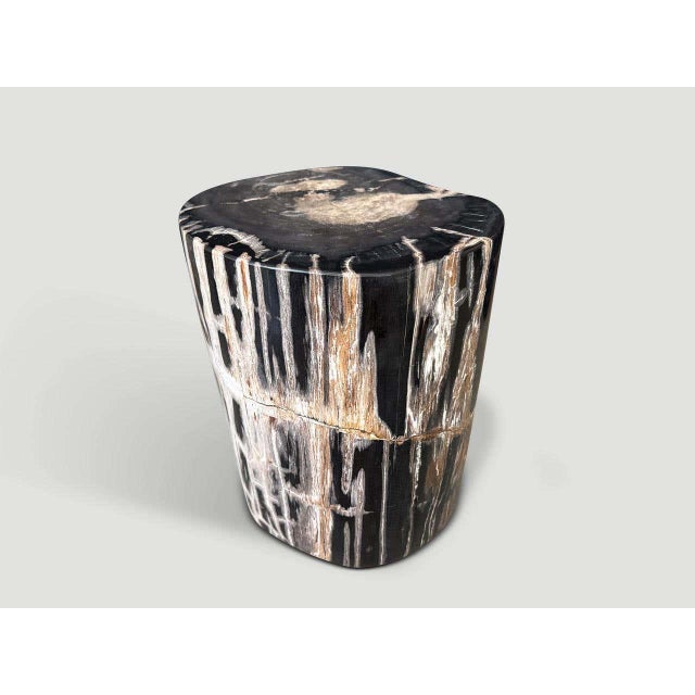 2010s Andrianna Shamaris Modern Organic Petrified Wood Side Table For Sale - Image 5 of 8