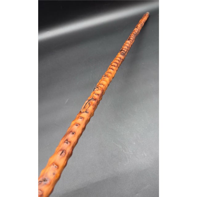 Antique Victorian Brussel Sprout Stalk Walking Stick, Sterling Silver Adornment For Sale - Image 9 of 17