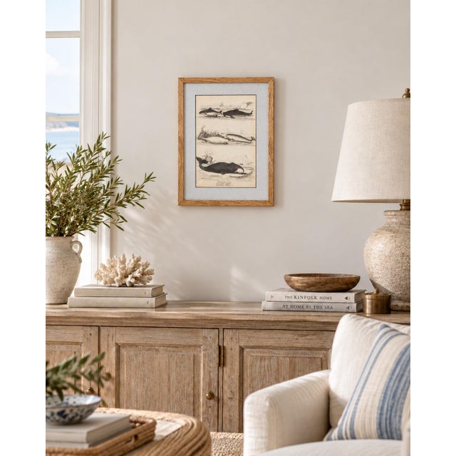 1835 Narwhal & Whales Engraving | Original Hand-Colored Antique Nautical Print, Framed For Sale In Columbus - Image 6 of 6