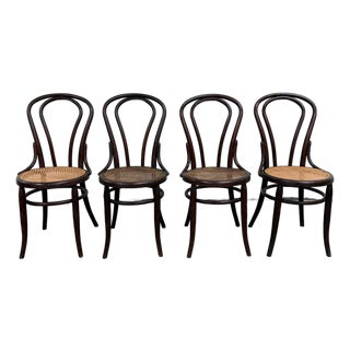 Antique Thonet Style Bentwood Caned Seat Dining Chairs - Set of 4 For Sale