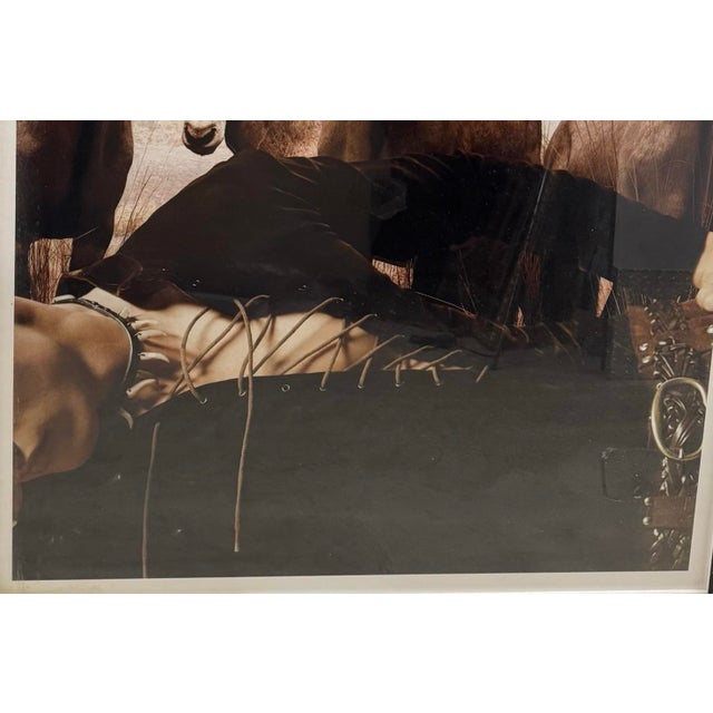 1980s Hiroshi Sugimoto Gemsbok Photograph For Sale - Image 4 of 5