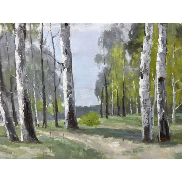 Birch Tree Impressionistic Landscape Original Oil Painting For Sale - Image 10 of 12