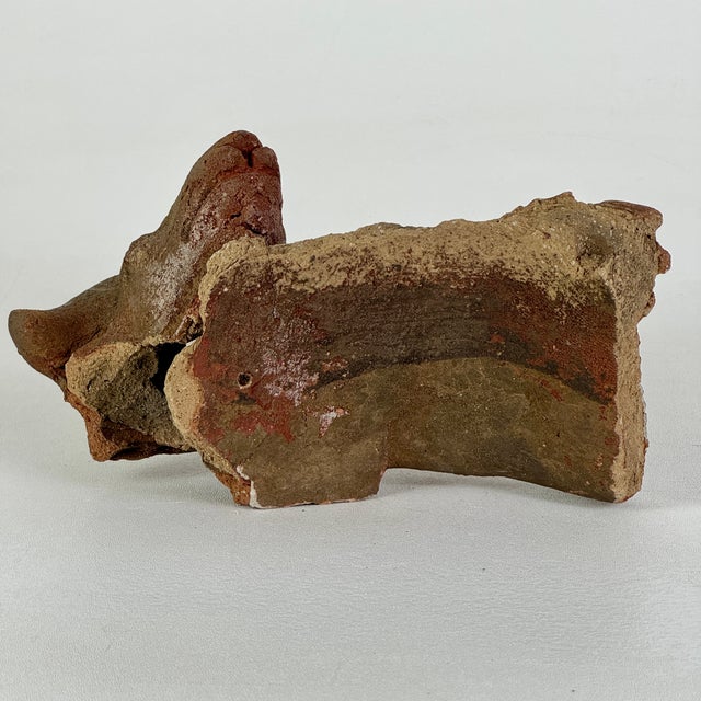 Brown Vintage Broken Off & Salvaged Terracotta Head of a Ram, Sculptural Decor For Sale - Image 8 of 9