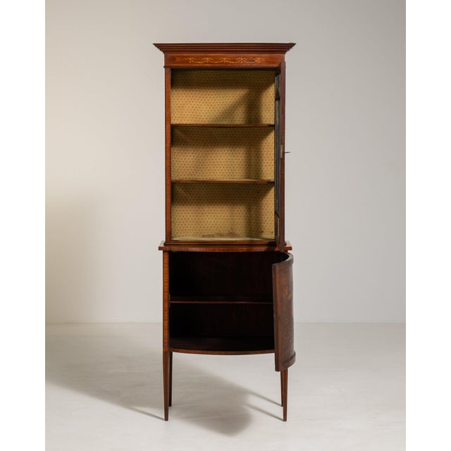 19th Century 19th Century France Edwardian Brown Wood Display Cabinet For Sale - Image 5 of 11