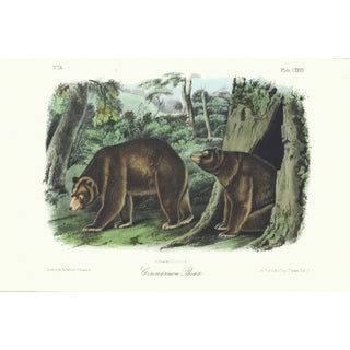 1854 Audubon Quadruped Octavo Lithograph "Plate 127 Cinnamon Bear" For Sale