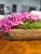 Contemporary Botanical Mix Potted Arrangements For Sale - Image 3 of 9