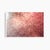 'In the Pink' Set of Botanical Photographs, Series of Four 36 X 24" Fine Art Photography Prints For Sale - Image 9 of 15