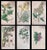 A charming and finely detailed set of six 19th century English botanical engravings, beautifully hand-colored and...