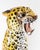 Ceramic Mid-Century 32" Italian Terra Cotta Figure of a Leopard For Sale - Image 7 of 11