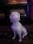 English 1980s White Hunting Dog Figurine From England For Sale - Image 3 of 7