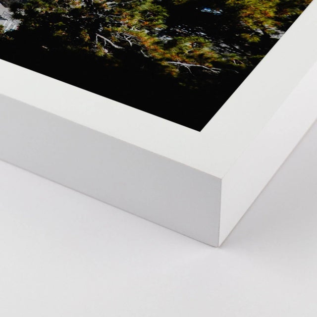 DESCRIPTION: Eyelashes by Natalie Obradovich in White Framed Paper, Small Art Print SPECIFICATIONS: Type: Framed Paper....