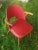 Red 50s Rockabilly Chair with Armrests, 1950s For Sale - Image 6 of 6