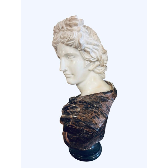 Grand Tour Late 20th Century Monumental Apollo Belvedere Marble Bust on Veined Carrara Marble Pedestal For Sale - Image 3 of 12