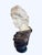 Grand Tour Late 20th Century Monumental Apollo Belvedere Marble Bust on Veined Carrara Marble Pedestal For Sale - Image 3 of 12