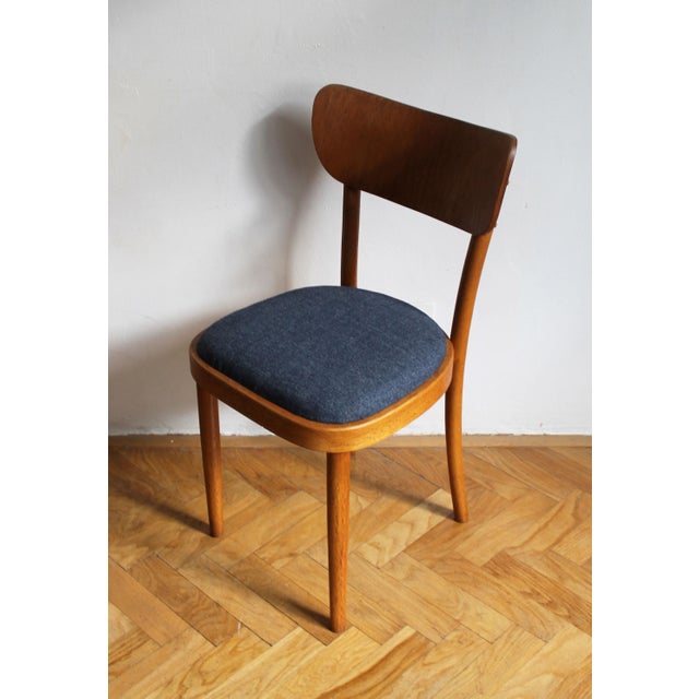 Czech Beech Dining Chair by Up Rousínov from Up Závody, 1960s For Sale - Image 6 of 17