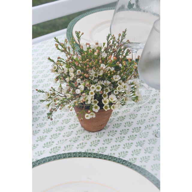 These small terracotta pots were sourced on our travels through the French countryside, each one worn soft by decades of...