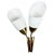 Mid-Century Wall Lamp from Kamenicky Senov, 1960s For Sale - Image 10 of 10