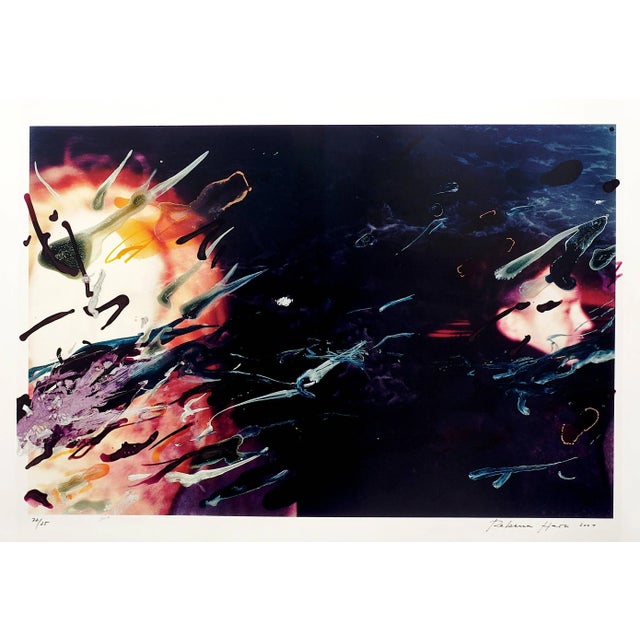 Abstract Rebecca Horn, Zenith of the Ocean II From Doctor's of the World Portfolio, Chromogenic Print For Sale - Image 3 of 3