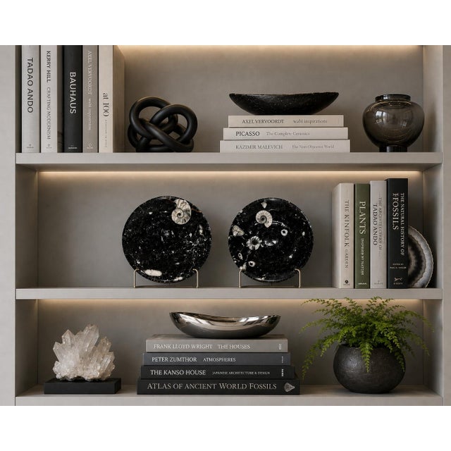 Pair Large Ammonite Plates Black White 6.25" Millions Years For Sale - Image 4 of 9