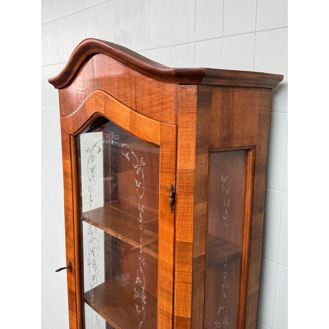 Brown Italian Showcase in Walnut, 1950s For Sale - Image 8 of 18