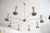 Mid-Century Large Brass Chandelier, 1950s For Sale - Image 4 of 15