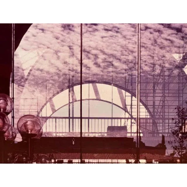 This photograph by Shirley Bleviss reveals a striking interplay of rounded forms and linear structures, all rendered in a...