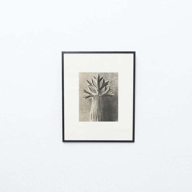 Karl Blossfeldt, Black and White Botanical Image, 1942, Photogravure, Framed For Sale - Image 12 of 18