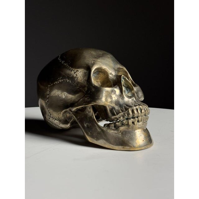 Early 20th Century Bronze Skull For Sale - Image 12 of 14
