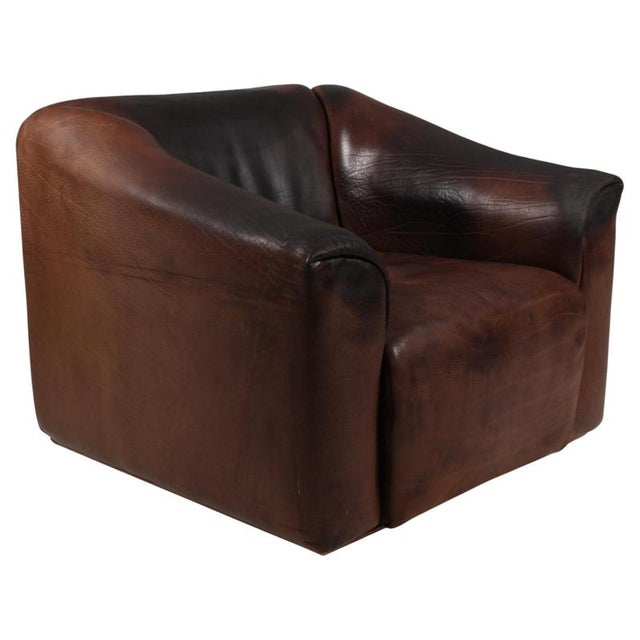 Vintage DS47 Lounge Chair in Patinated Leather from de Sede For Sale - Image 9 of 9