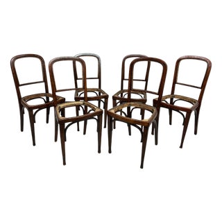 No. 715 Dining Chairs attributed to Gustav Siegel for J&J Kohn, 1920s, Set of 6 For Sale