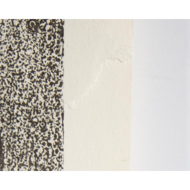 Paper 1966 Risd Museum of Art Poster by Jasper Johns For Sale - Image 7 of 10