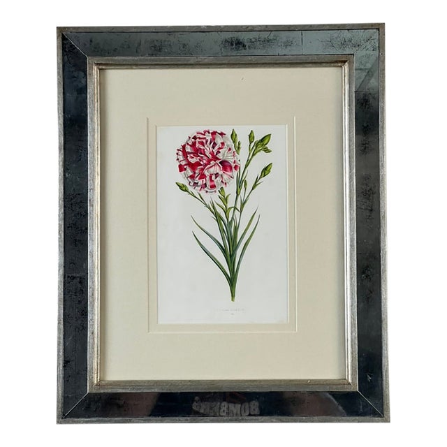 Vintage Trowbridge Custom Framed Botanical Print “Dianthus Caryophyllus” After Louis Stroobant, Belgium 1845-1888 For Sale