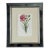 Vintage Trowbridge Custom Framed Botanical Print “Dianthus Caryophyllus” After Louis Stroobant, Belgium 1845-1888 For Sale