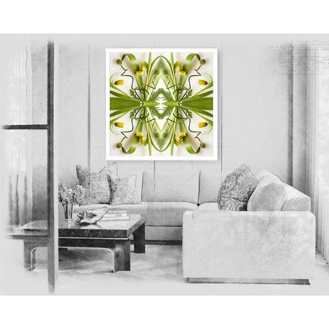 "No. 04" Contemporary Original Abstract Botanical Photograph by Erin Derby For Sale - Image 4 of 4