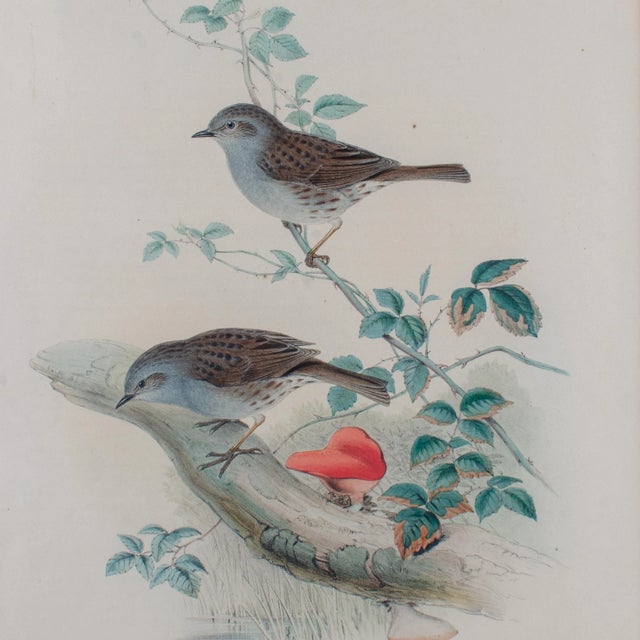 Mid 19th Century Gould Accentor Modularis For Sale - Image 5 of 8