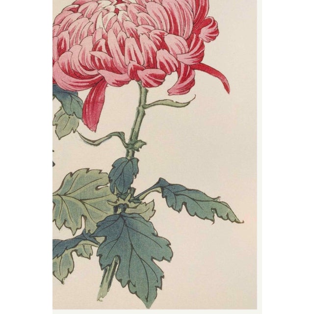 Not Yet Made - Made To Order Pink Chrysanthemums, Vintage Japanese Botanical Art Print, 16" X 24" For Sale - Image 5 of 8