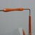 Vintage Magazine Rack in Curved Wood and Glass, 1950s For Sale - Image 4 of 8