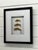 Vintage Framed Fishing Lures For Sale - Image 4 of 4