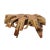 Mid 19th Century Organic Modern Tree Root Coffee Table For Sale - Image 12 of 12