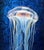 Contemporary Stellar Sea by Stacy D'Aguiar | Acrylic on aluminum finished with resin Jellyfish in a cosmic setting For Sale - Image 3 of 5