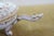 White Antique Dresden Covered Footed Turtle Soup Bowl Compote 5" For Sale - Image 8 of 17
