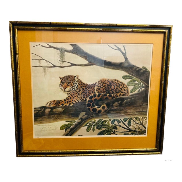 Vintage Leopard Signed Lithograph, Framed For Sale