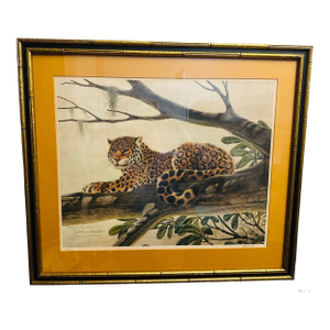 Vintage Leopard Signed Lithograph, Framed