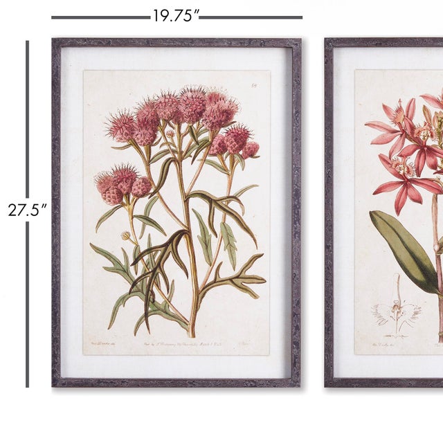 Chinese Pretty In Pink Vintage Prints, Set Of 2 For Sale - Image 3 of 5
