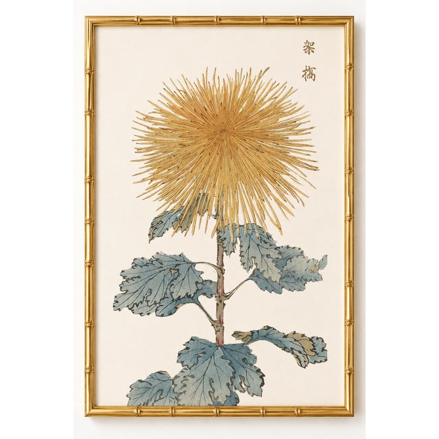 Golden Mum by Hasegawa, Vintage Japanese Botanical Art Print, 24" X 36" For Sale In Buffalo - Image 6 of 10