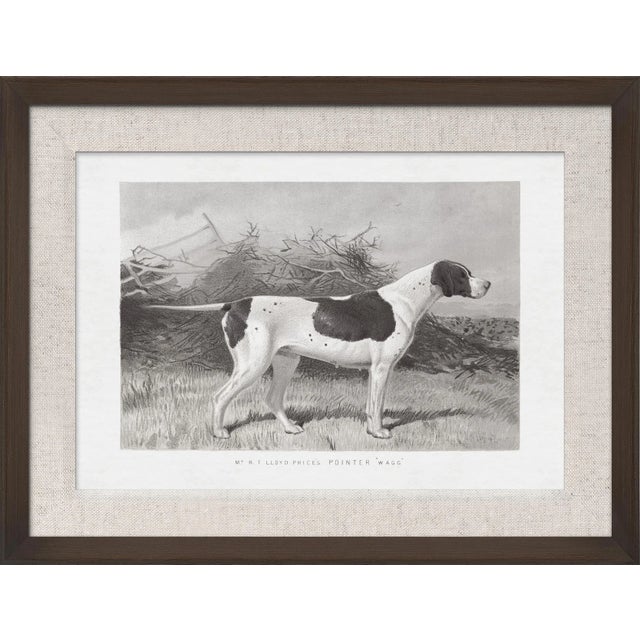 We all love our dogs and this collection allows you to choose all there different breeds that are illustrated from the...