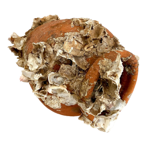 Portuguese Octopus Trap Terracotta Pot